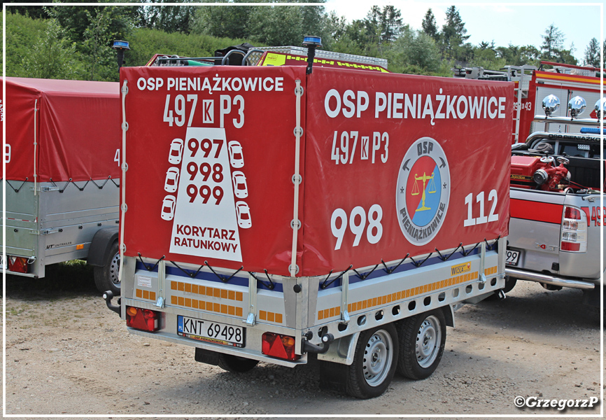 497-P3- PKw Wiola - OSP Pieniążkowice