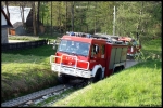 11.05.2012 - Dzianisz - manewry gminne