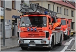 459[K]16 - SD 30 Mercedes Benz 1422 F/Metz - OSP Janowice