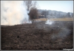 13.03.2014 - Skomielna Biała - Pożar suchej trawy