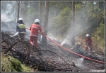 10.06.2014 - Zakopane, Do Małej Łąki - Pożar poszycia leśnego